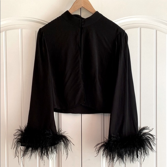 RIXO Tops - RIXO NWT Women's Long Sleeve Black Cropped Blouse Feather Cuffs Size L